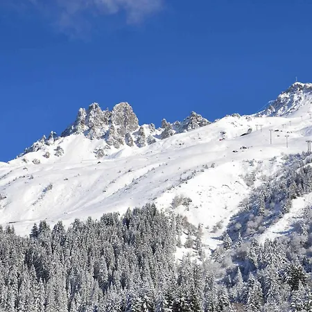 2 Pieces De Charme, Exposition Sud, Sur Les Pistes - Fr-1-182-51